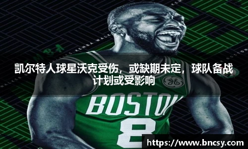 完美体育官网