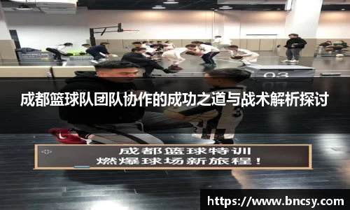 成都篮球队团队协作的成功之道与战术解析探讨