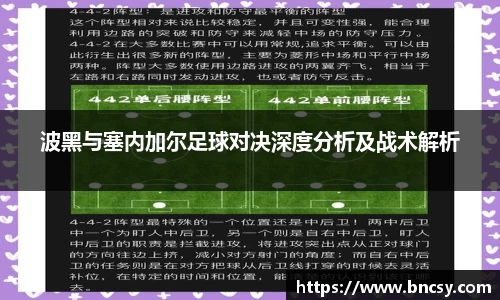 波黑与塞内加尔足球对决深度分析及战术解析