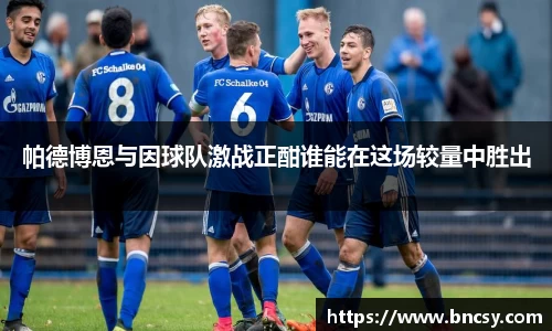 帕德博恩与因球队激战正酣谁能在这场较量中胜出